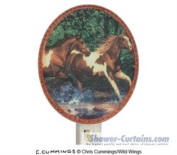 Spring Creek Run Nightlight