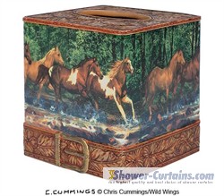 Spring Creek Run Tissue Box Cover